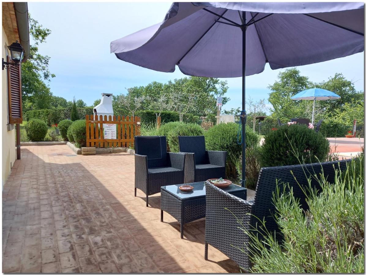 Villino Cortona - Casa Vacanze A Cortona Con Piscina Privata Wifi, Ac - Toscana - Nelle Vicinanze Perugia, Assisi, Montepulciano, Pienza, Siena Eksteriør billede