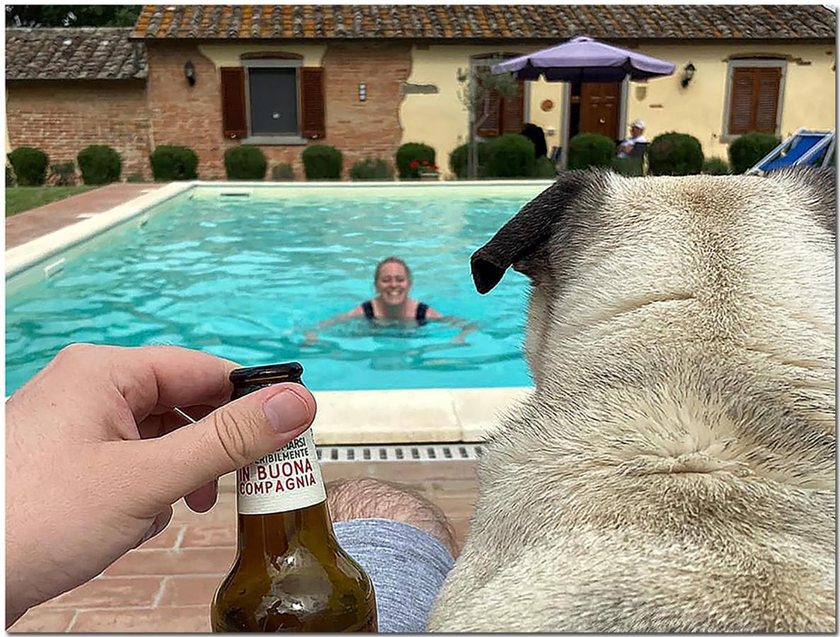 Villino Cortona - Casa Vacanze A Cortona Con Piscina Privata Wifi, Ac - Toscana - Nelle Vicinanze Perugia, Assisi, Montepulciano, Pienza, Siena Eksteriør billede